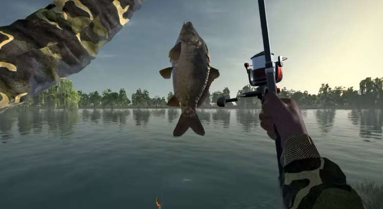 The Best Strategies for Winning Fishing Tournaments